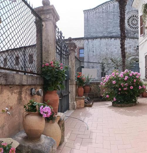 44 - Mu Ni Hotel Amelia Exterior foto